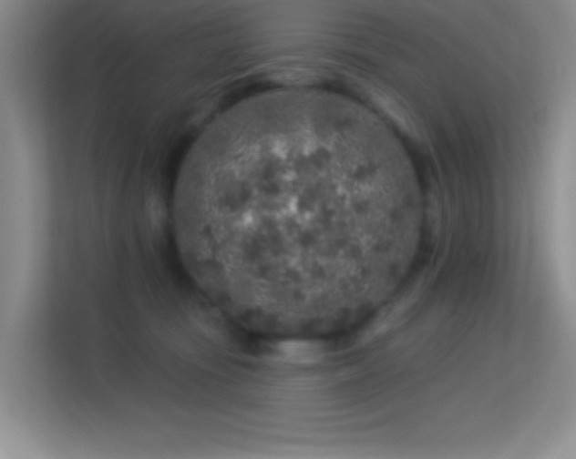 X0000113580371200909251200