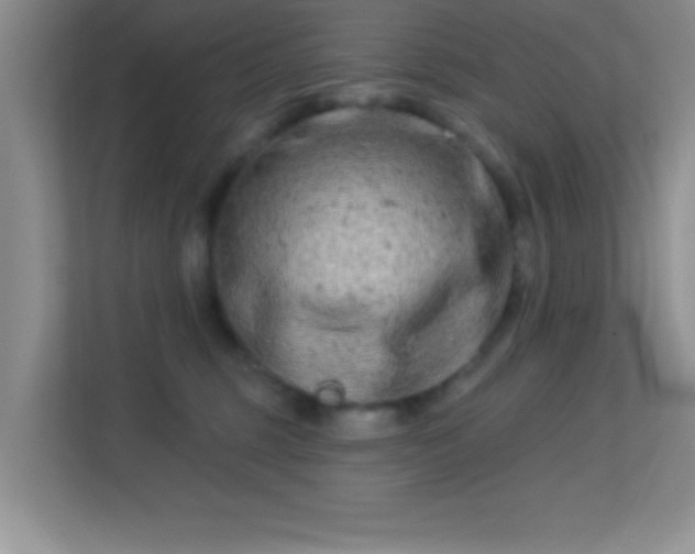 X0000113580375200909251200