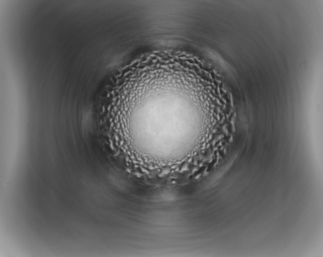 X0000113580377200909251200