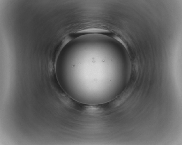 X0000113580380200909251200