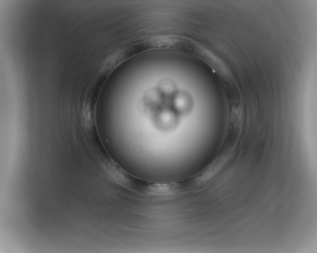 X0000113580381200909251200