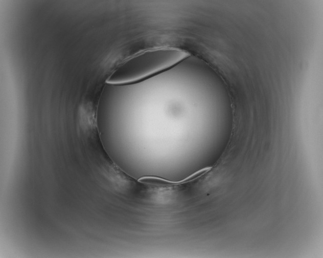 X0000113580384200909251200