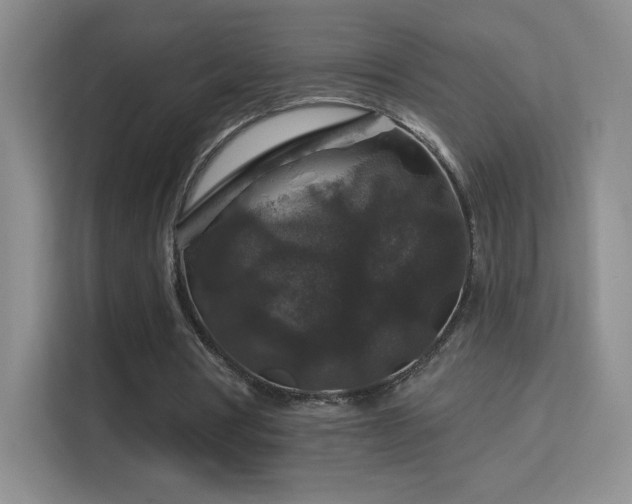 X0000113580386200909251159