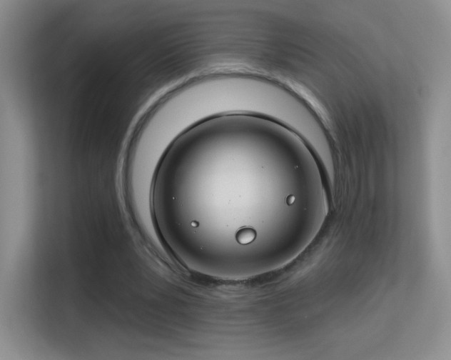 X0000113580391200909251159