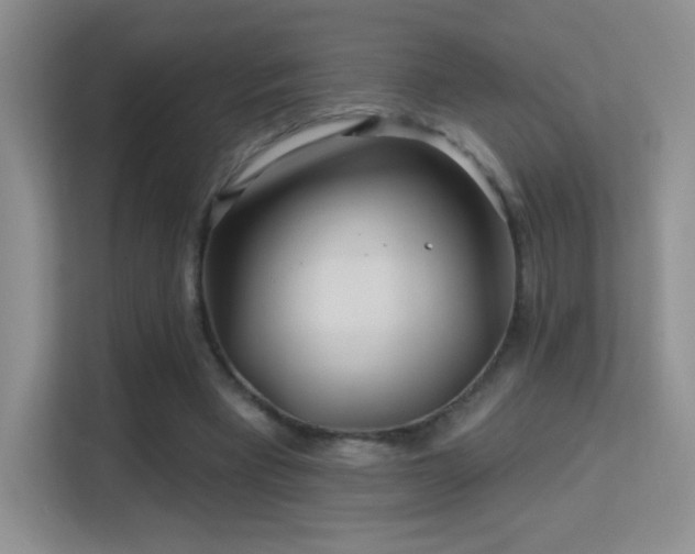 X0000113580393200909251159