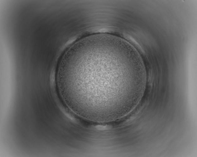 X0000113580394200909251159