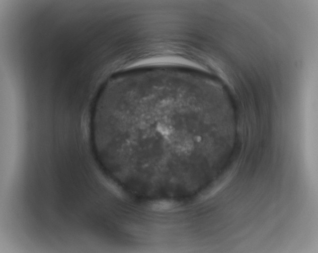 X0000113580402200909251159