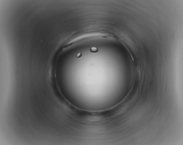 X0000113580404200909251159