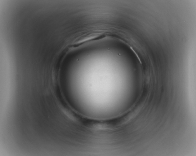 X0000113580408200909251159