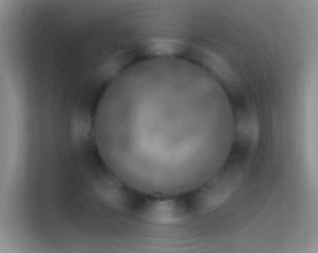 X0000113580411200909251159