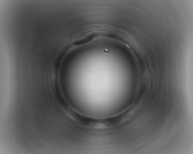 X0000113580412200909251159