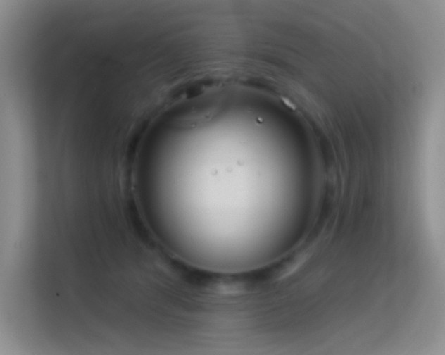 X0000113580416200909251159