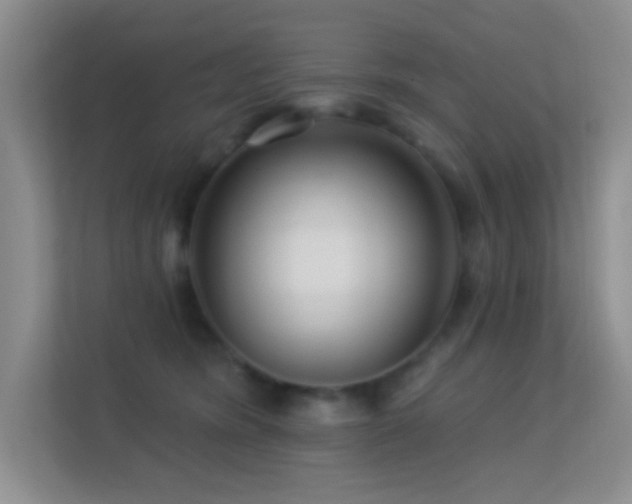 X0000113580420200909251159