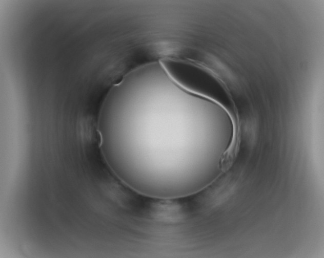 X0000113580421200909251159