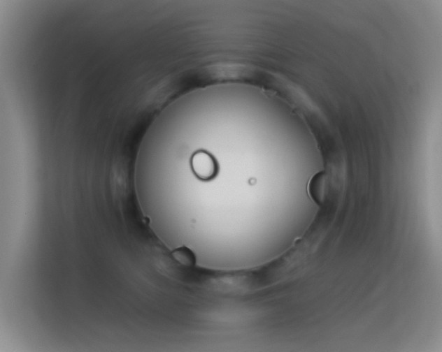 X0000113580422200909251159