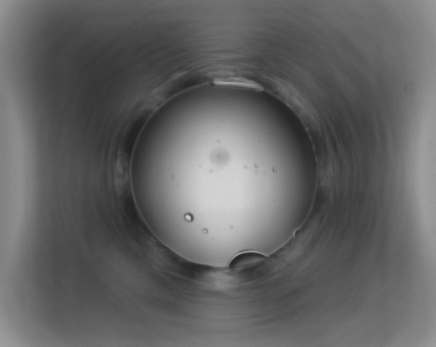 X0000113580425200909251159