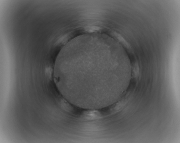 X0000113580427200909251159