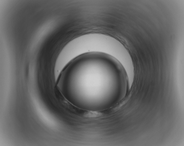 X0000113580429200909251159