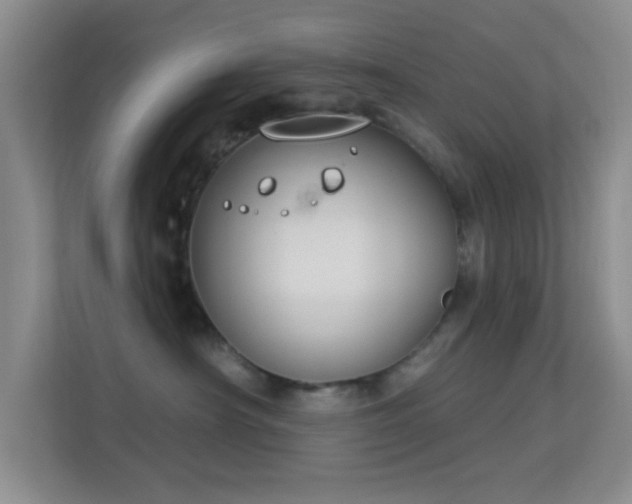 X0000113580430200909251159