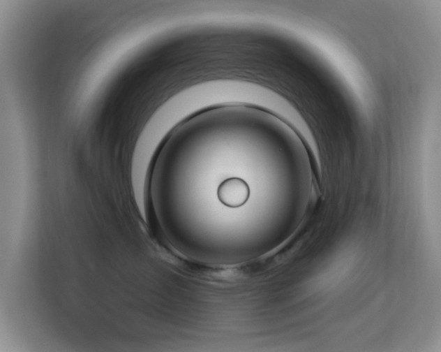 X0000113580431200909251159