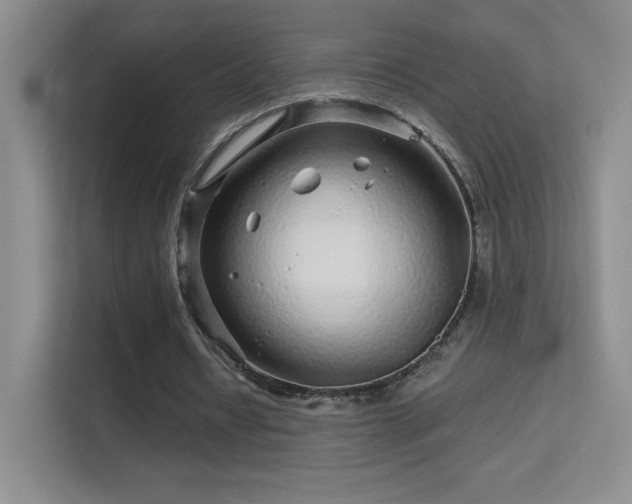 X0000113580434200909251158