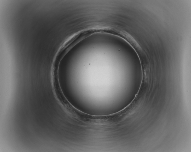 X0000113580436200909251158