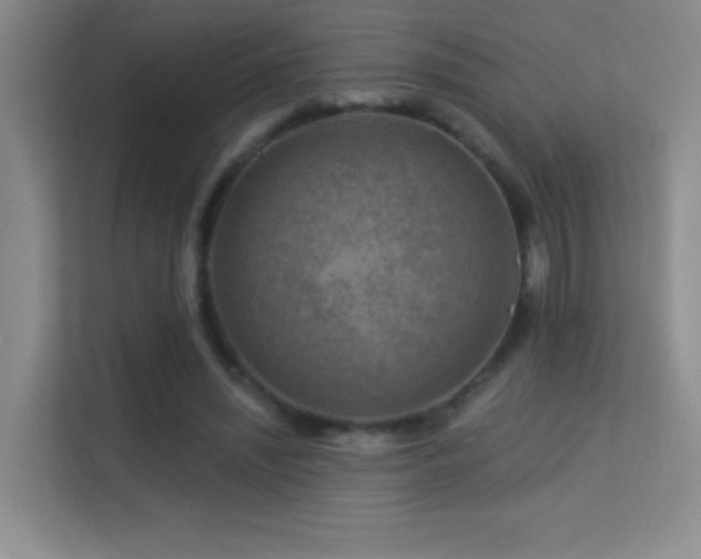 X0000113580444200909251158