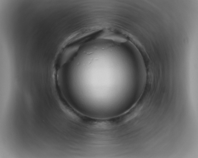 X0000113580446200909251158