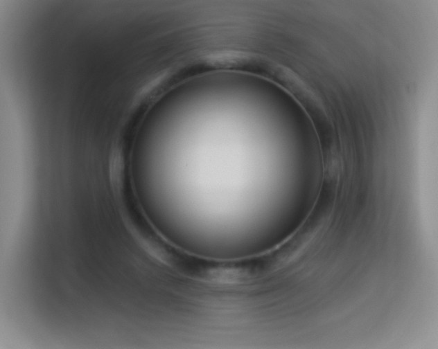 X0000113580448200909251158