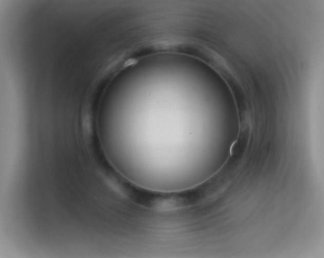 X0000113580452200909251158