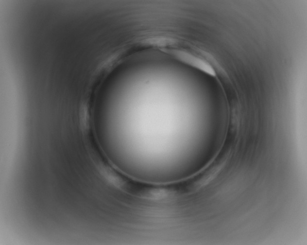 X0000113580453200909251158