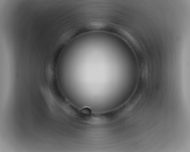 X0000113580455200909251158