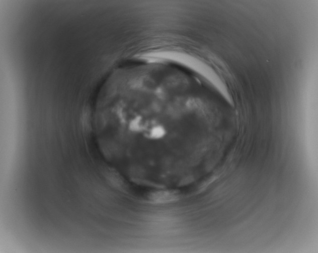 X0000113580465200909251158