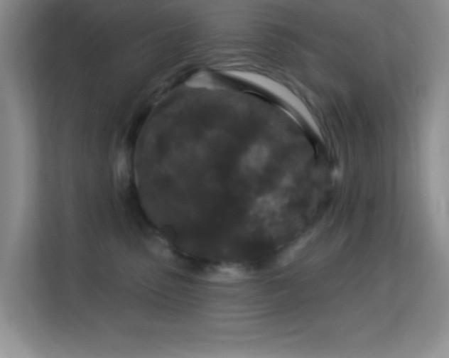 X0000113580475200909251159