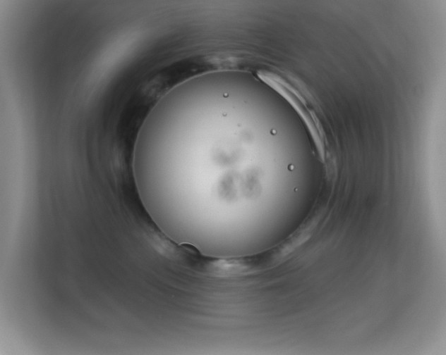 X0000113580477200909251159