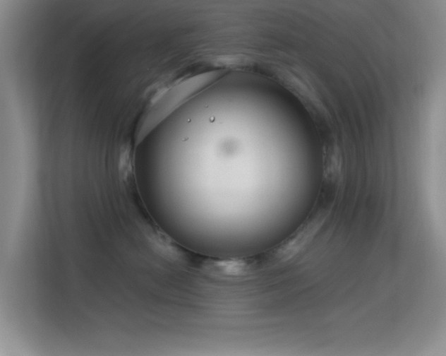 X0000113580478200909251159