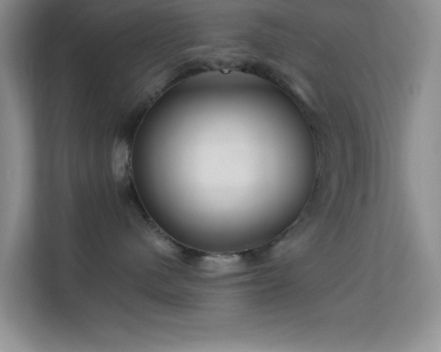 X0000113580480200909251159