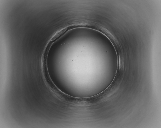 X0000113580483200909251158