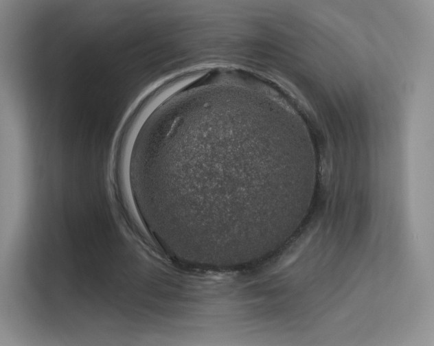 X0000113580484200909251158