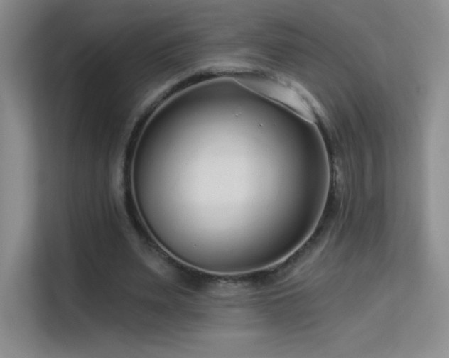 X0000113580487200909251158