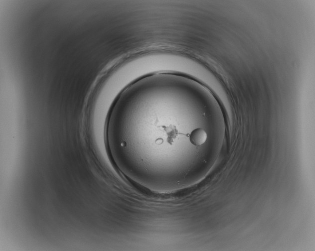 X0000113580488200909251158