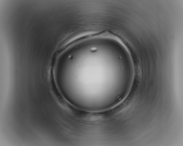 X0000113580491200909251158