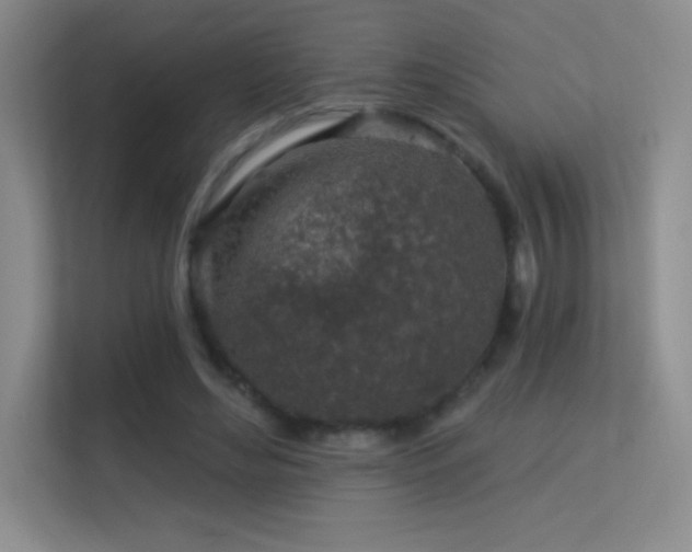 X0000113580492200909251158