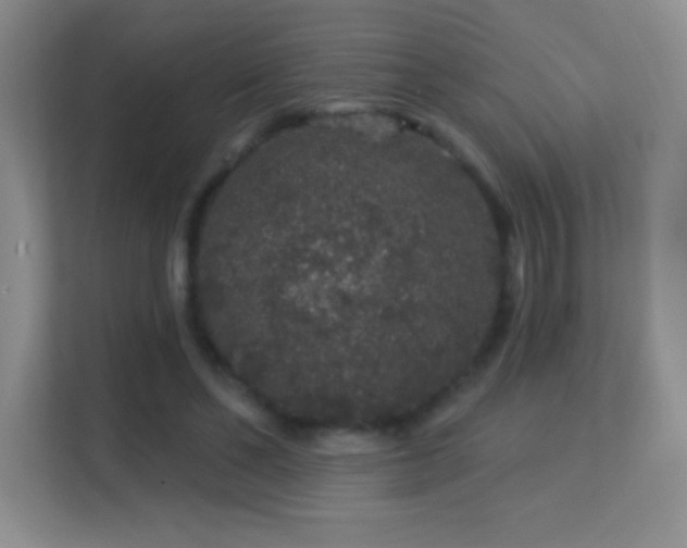 X0000113580494200909251158