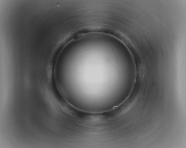 X0000113580495200909251158