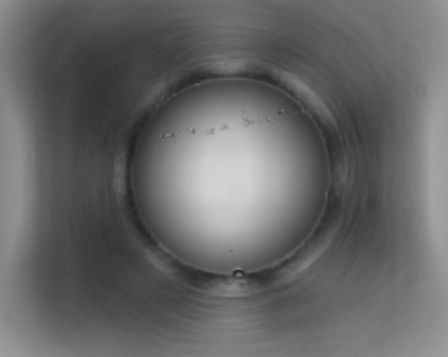 X0000113580497200909251158