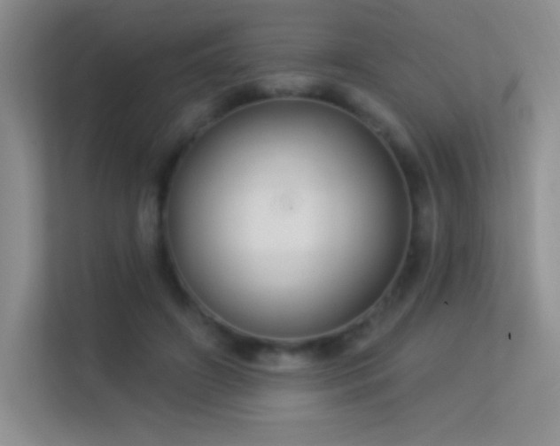 X0000113580498200909251158