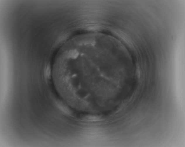 X0000113580502200909251158