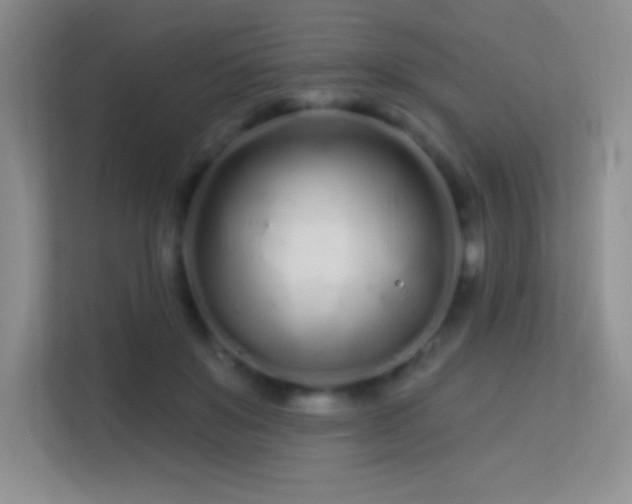 X0000113580503200909251158