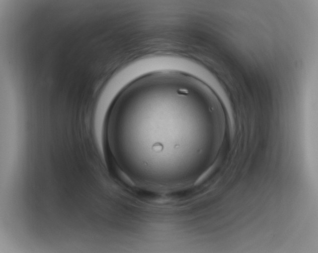 X0000113580504200909251158